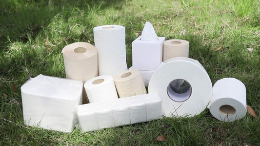 Types of Hygiene Paper Products and Their Uses